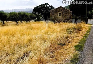 imagem_13