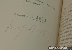 imagem_8