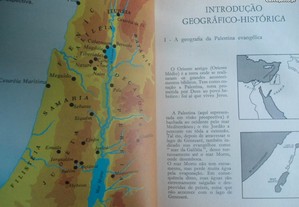 imagem_6