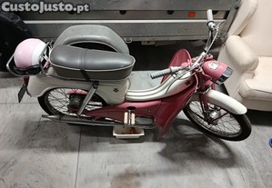 Mota classica Flandria
