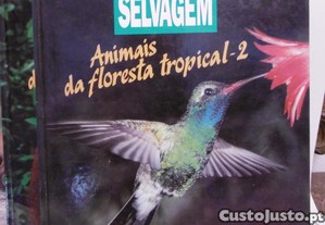 imagem_1