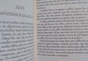 imagem_7