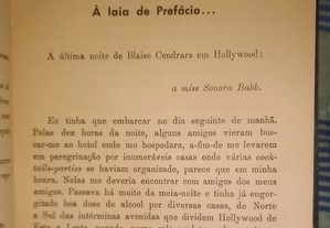 imagem_4