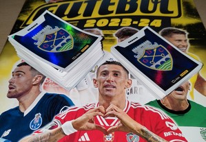 imagem_3