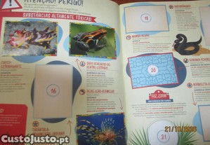imagem_2