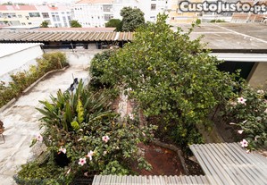 imagem_17
