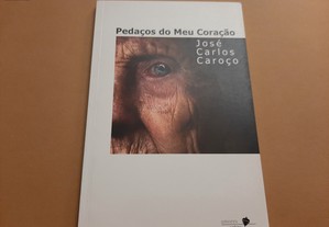Pedaços do Meu Coração// José Carlos Cardoso POESIA