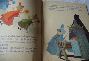 imagem_8