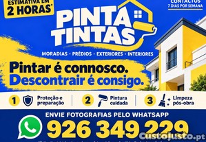 imagem_2