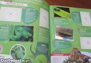 imagem_5