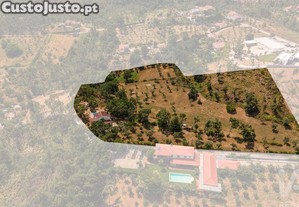 imagem_40