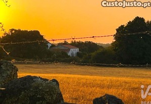 imagem_13