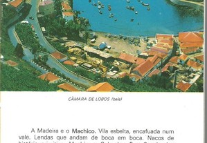 imagem_6