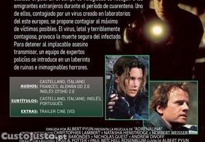imagem_2