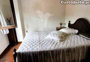imagem_13