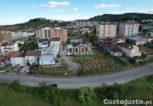 imagem_1