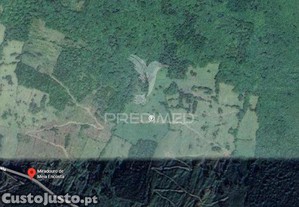 imagem_6