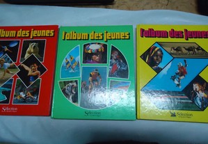 imagem_2