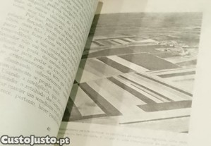 imagem_6