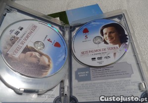 imagem_7