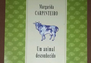Um animal desconhecido, de Margarida Carpinteiro.