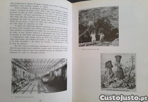 imagem_7