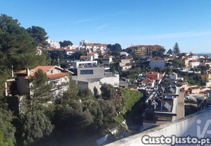 imagem_20