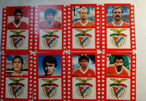 Benfica - 17 Calendários de jogadores 1991