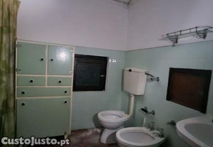 imagem_22