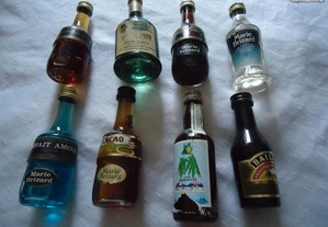 Garrafas em miniaturas de diversas bebidas