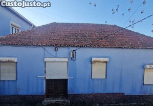 imagem_13