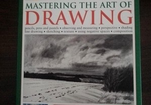 Mastering the art of drawing