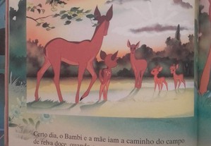imagem_6