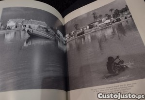 imagem_9