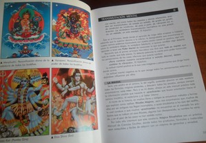 imagem_2