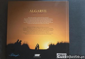 imagem_6
