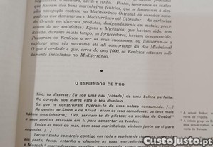 imagem_3