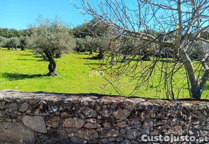 Terreno Rstico Em Beir,Marvo, Portalegre, Marvo