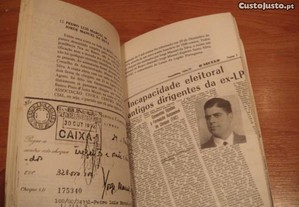 imagem_6