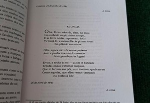 imagem_6