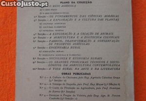 imagem_8