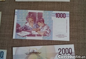 imagem_6
