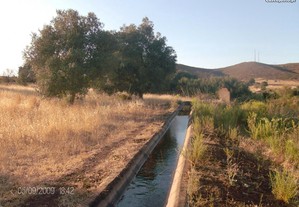 troco Terreno Rstico de 20.000m em Aro c/60 oliveira
