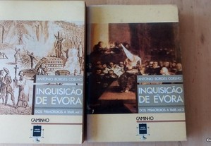 Inquisição de Évora. António Borges Coelho.