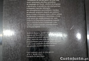 imagem_8