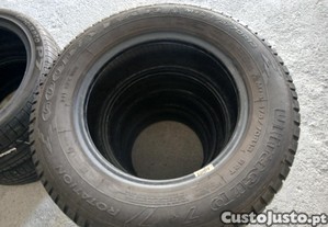imagem_12