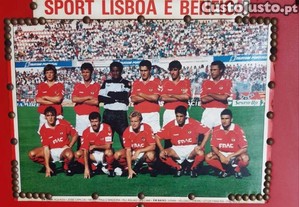 imagem_3