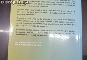 imagem_8