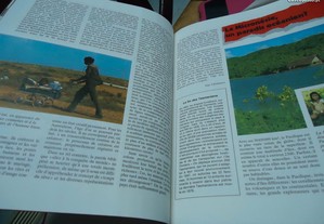 imagem_6