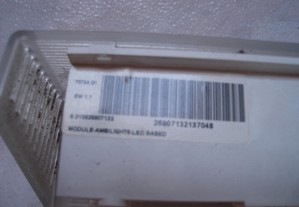 imagem_3
